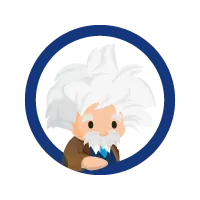 Salesforce Einstein